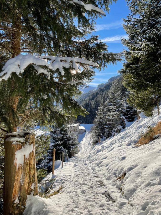 Tux Mountain Apart Dış mekan fotoğraf